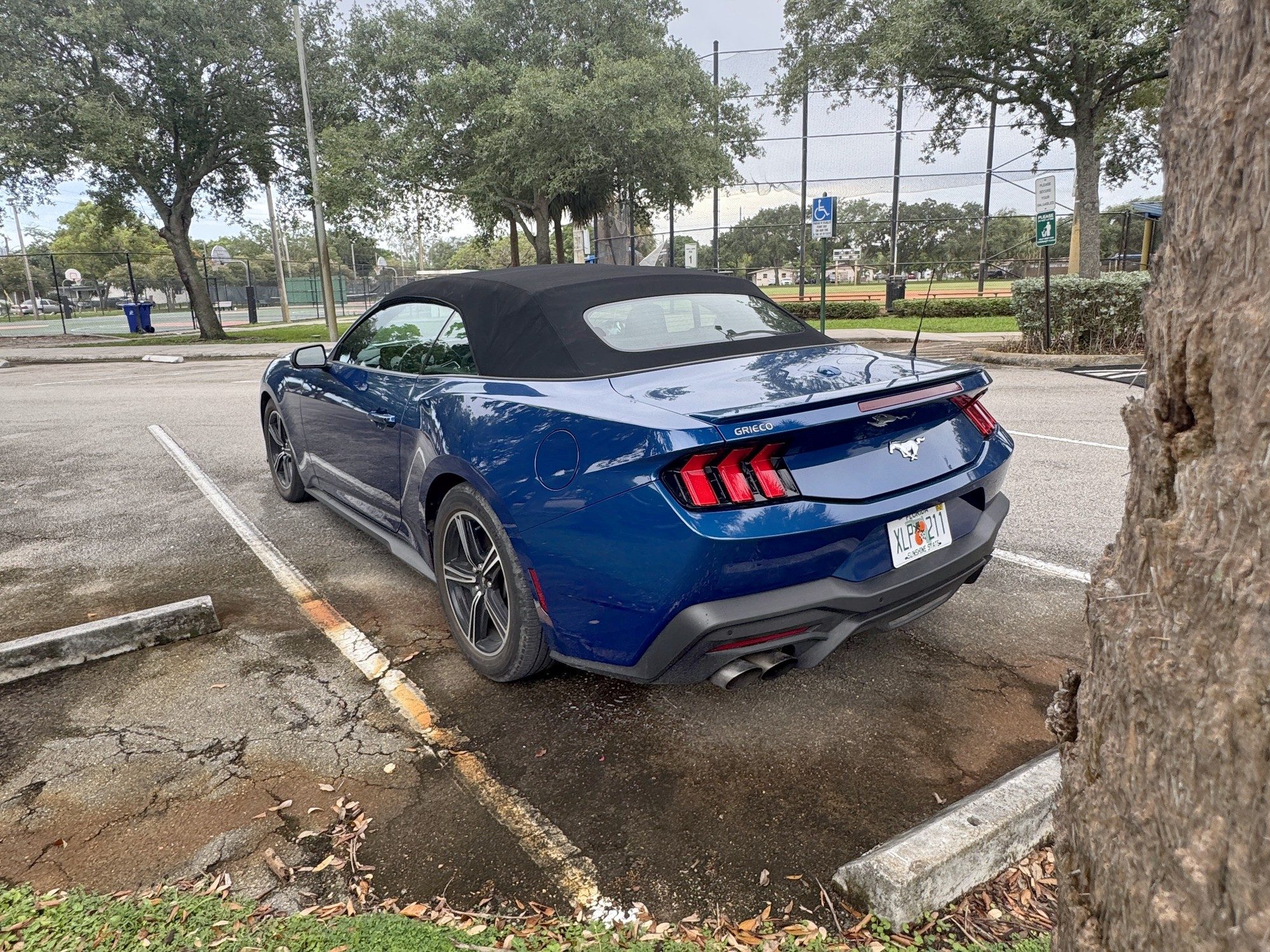 2025 Ford Mustang rental car, photo 2